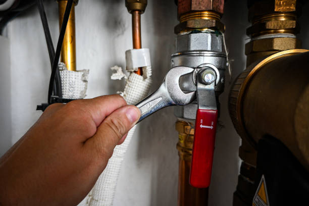 Best Emergency Plumbing Repair  in La Palma, CA